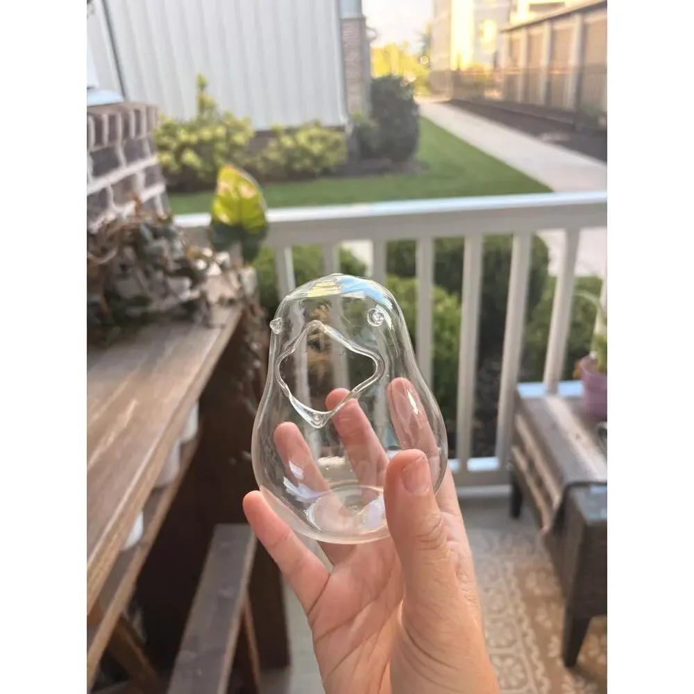 Clear Glass Bird Terrarium Planter 5” Open Body Air Plant Succulent Vase